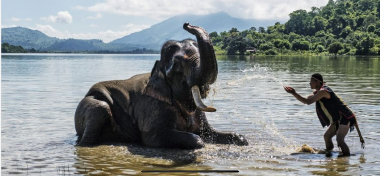 Elephant Adventures in Lak Lake & Buon Don – Explore the Wild Central Highlands with Dalat Easyrider”