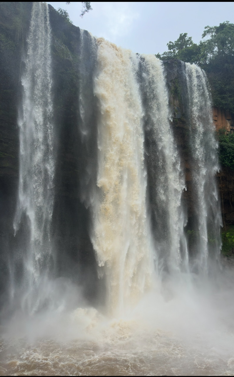 Escape the Crowds – Embrace Nature and the Real Vietnam with Dalat Easyrider