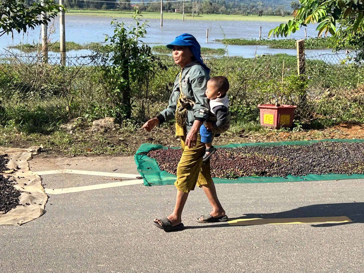 Daily Life in Rural Vietnam – A True Local Experience with Dalat Easyrider
