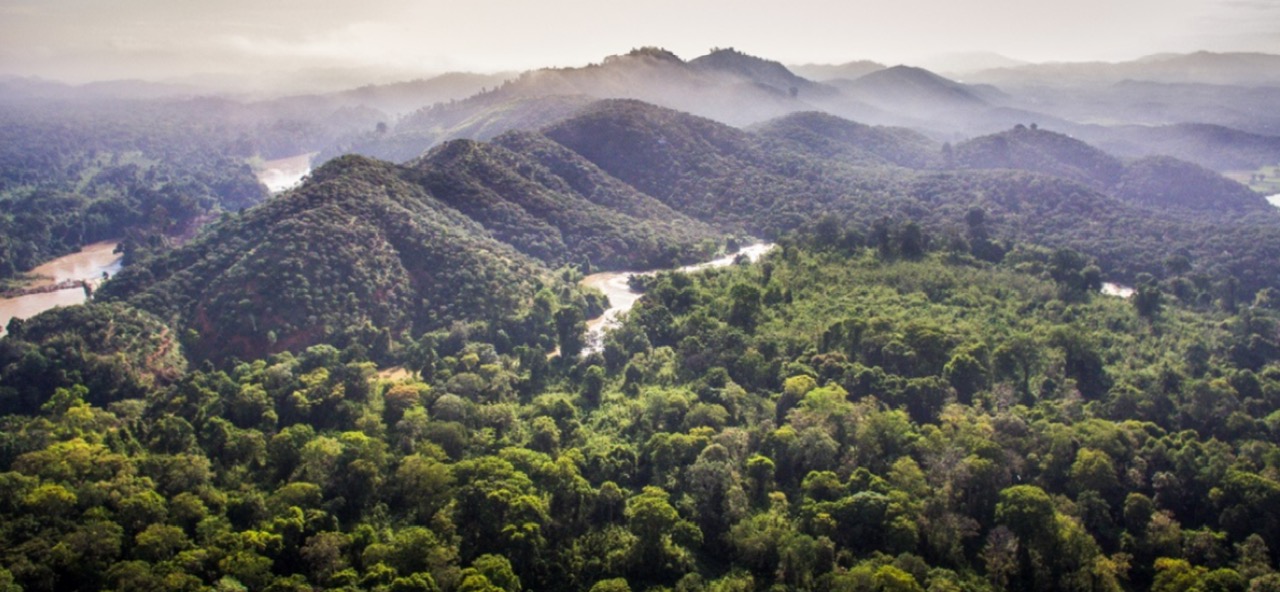 Easyriders Dalat Tour – Dambri Waterfall – Cat Tien National Park  Ride through Vietnam’s hidden gems: majestic waterfalls, jungle trails & local culture