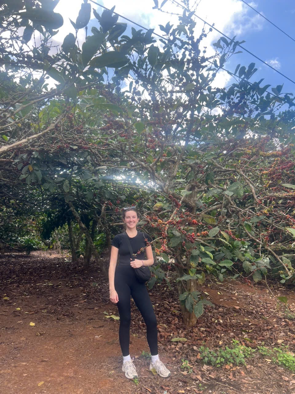 Dalat Easyrider – The Best Motorbike Adventure Tour in Da Lat, Vietnam