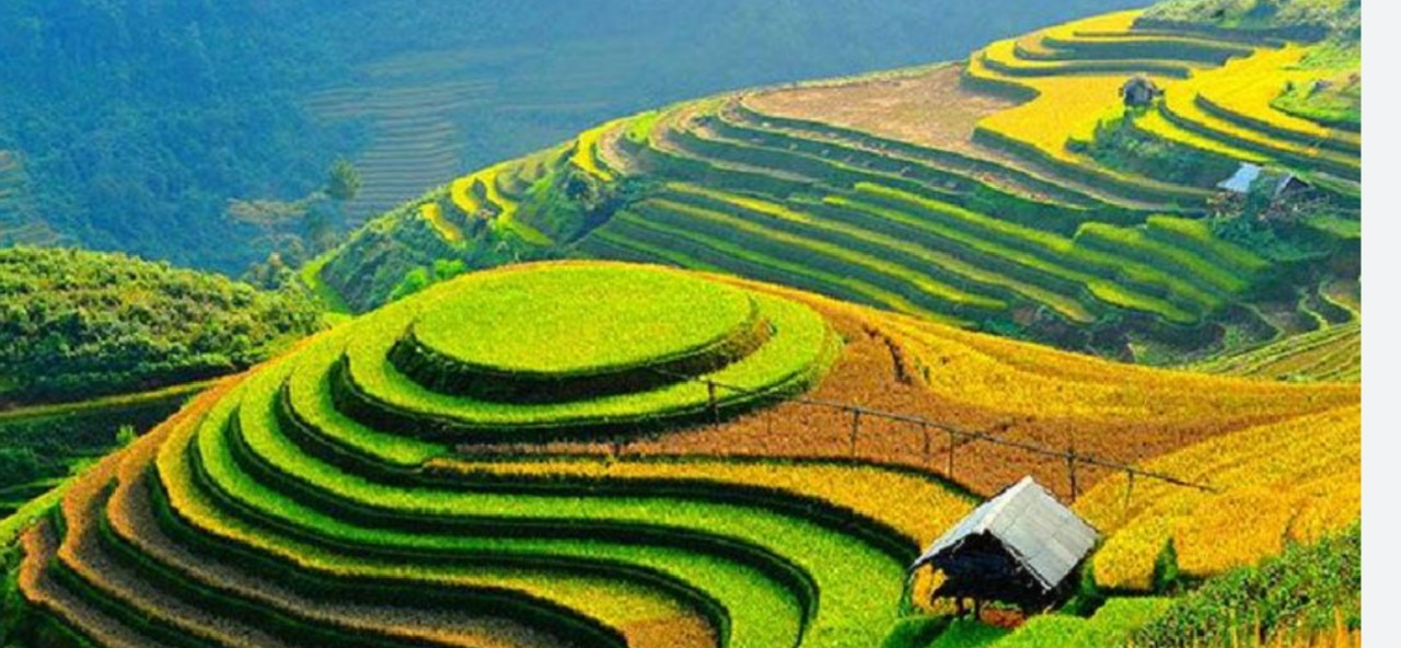 🏍️ Sapa Easyrider Motorbike Tour – Ride Through the Northern Highlands of Vietnam  Discover Hidden Trails, Ethnic Cultures, and Breathtaking Mountain Passes
