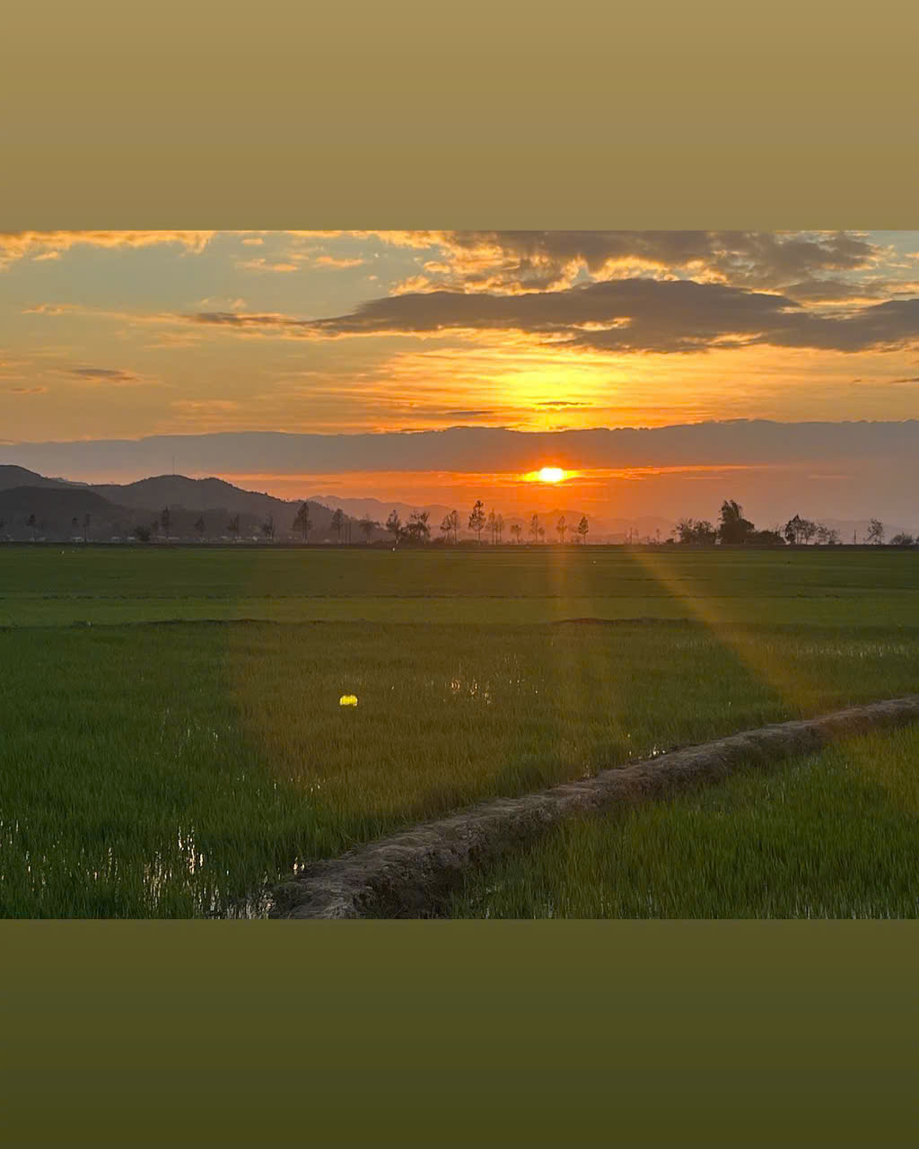 z7202137385940_b8b3de7334c4eb79703e1dba505e8890