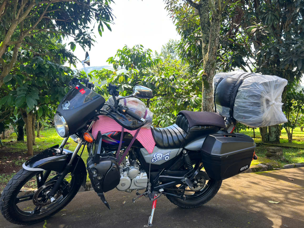 z7202137423878_ec91eade3d8e126cf17b1d1fdee1d865