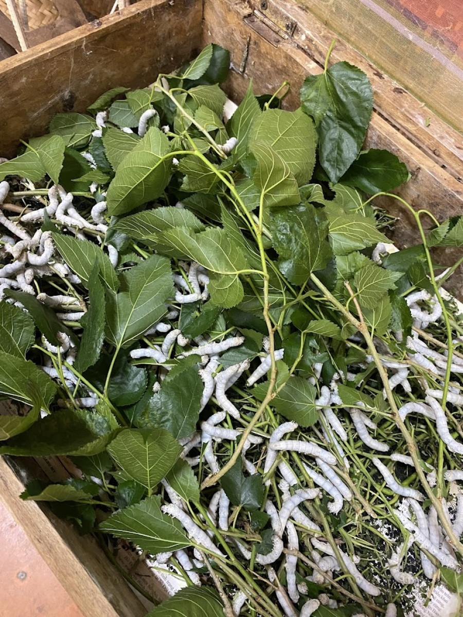 54fa6552f4dabc5e4e5b18f1792941bf