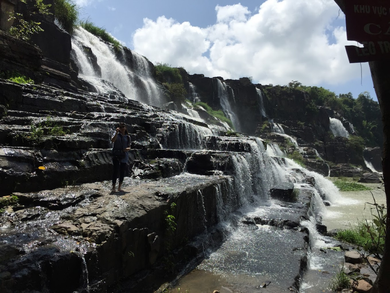 aa2e261069d468ebc6956fecaeeae7d4