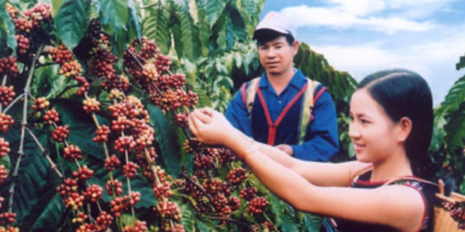 Exploring the Coffee Festival on the Central Highlands of Vietnam with DalatEasyrider”