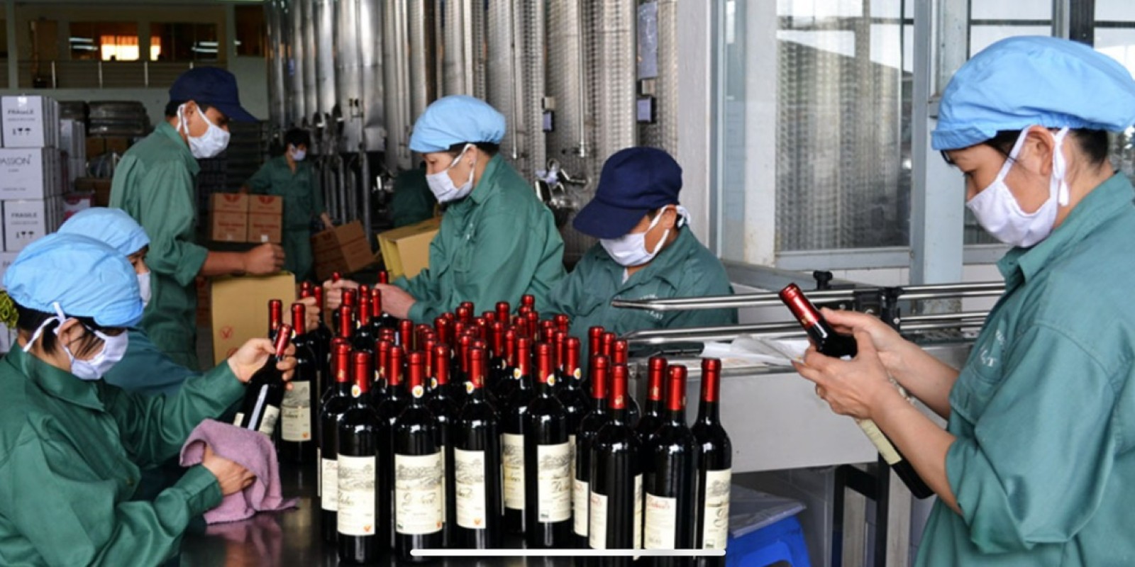 Discover Dalat’s Wine Culture: A Vineyard Adventure with Dalat Easyriders