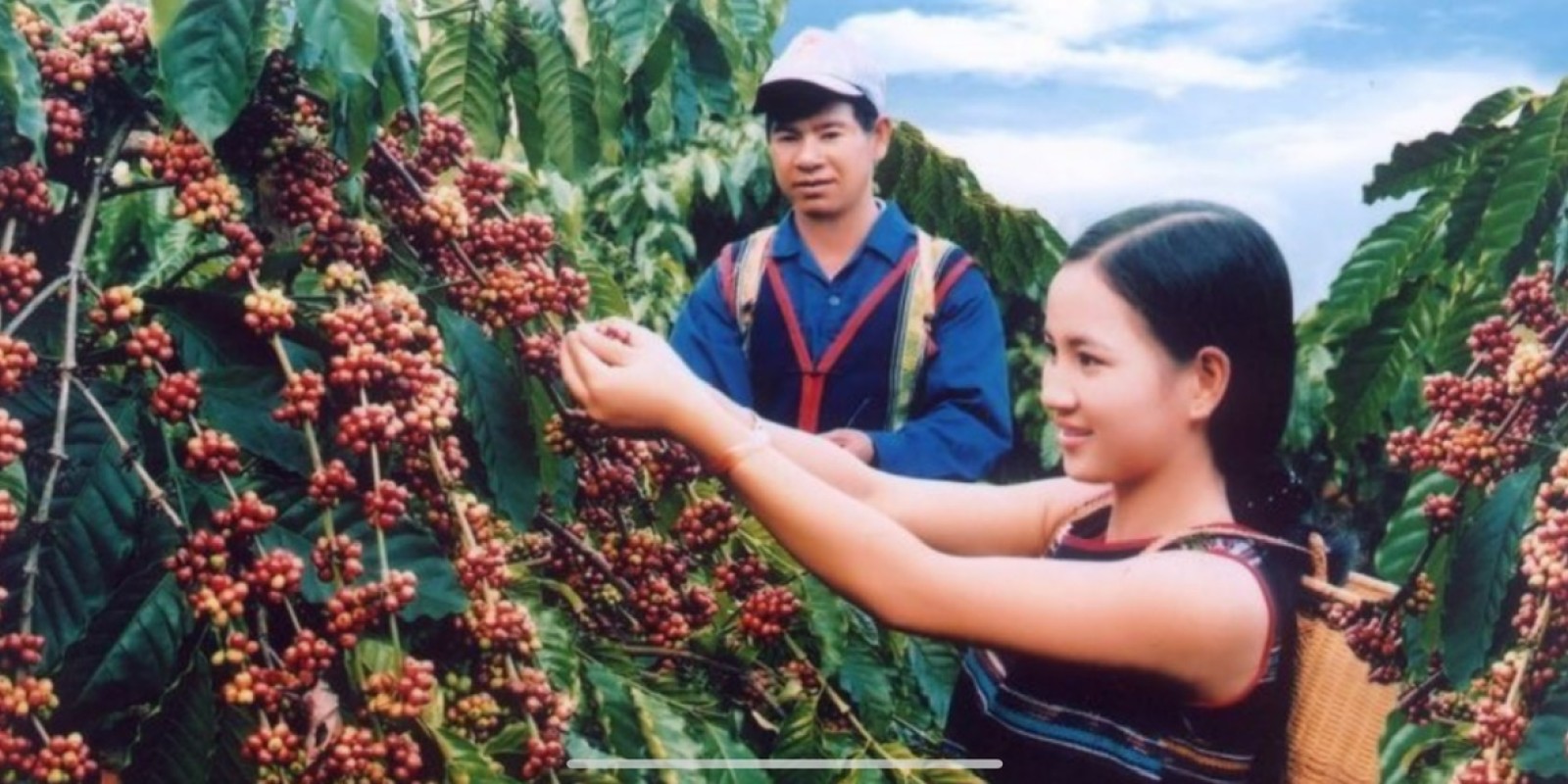 Discover the Coffee Capital of Vietnam with #DalatEasyrider – A Flavorful Journey to Buon Ma Thuot & the Central Highlands