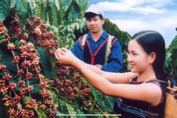 Discover the Coffee Capital of Vietnam with #DalatEasyrider – A Flavorful Journey to Buon Ma Thuot & the Central Highlands