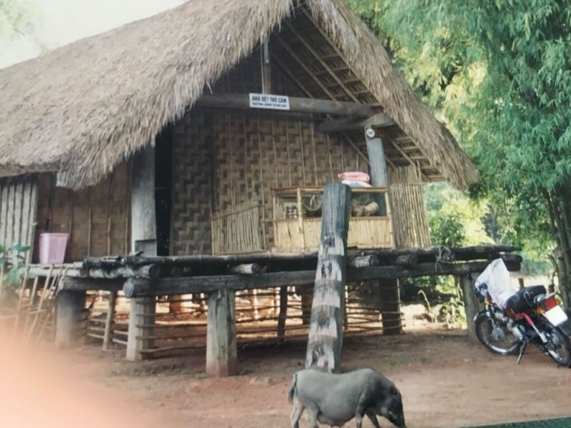 Discover Vietnam on Two Wheels: Dalat to Hoi An Motorbike Tour with Easyriders – The Ultimate Adventure Off the Beaten Path