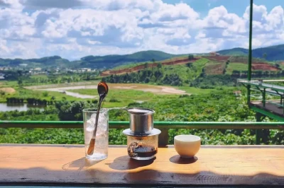 Me Linh Coffee Plantation