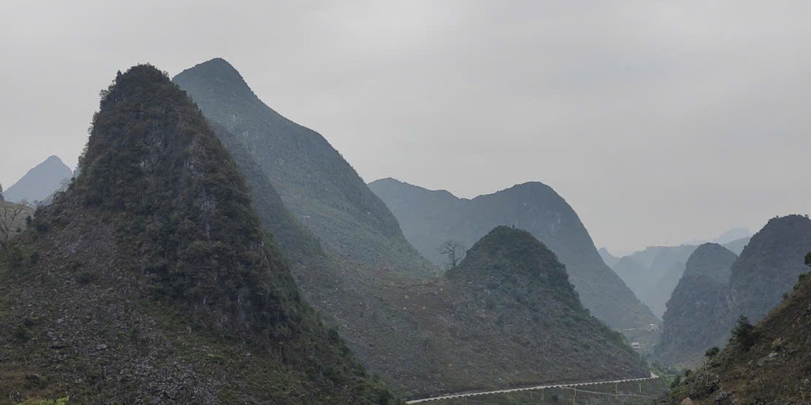 The Ultimate Coffee Farm Experience in Da Lat