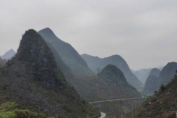 The Ultimate Coffee Farm Experience in Da Lat