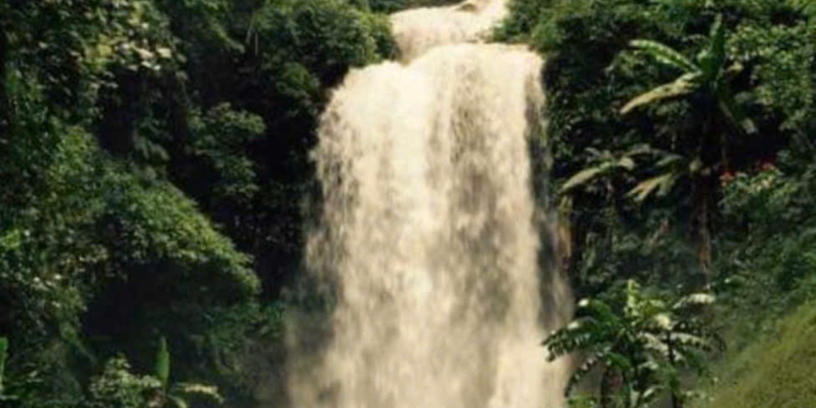 Why a Da Lat Easyrider Tour Is the Best Way to Explore Vietnam’s Highlands