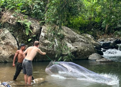 Discover the Real Vietnam on a Da Lat Easyrider Tour