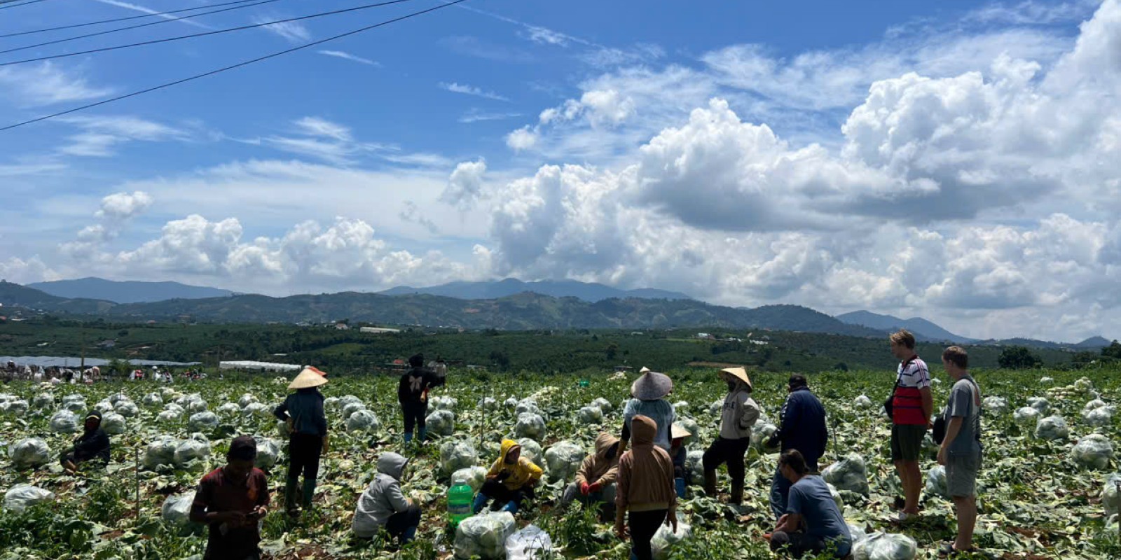 One Day With a Da Lat Easyrider: A Journey Beyond the Guidebooks