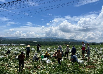 One Day With a Da Lat Easyrider: A Journey Beyond the Guidebooks