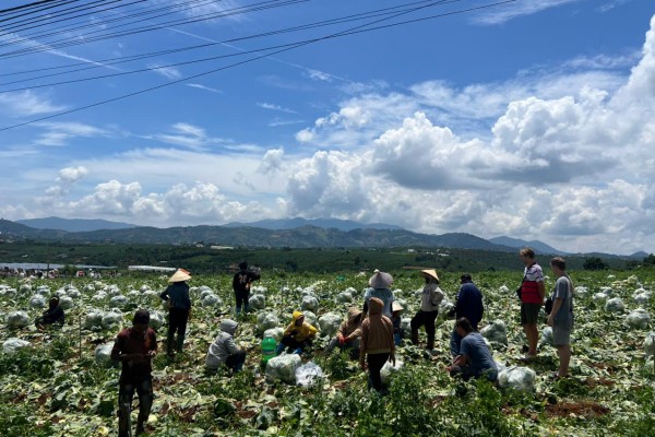 One Day With a Da Lat Easyrider: A Journey Beyond the Guidebooks