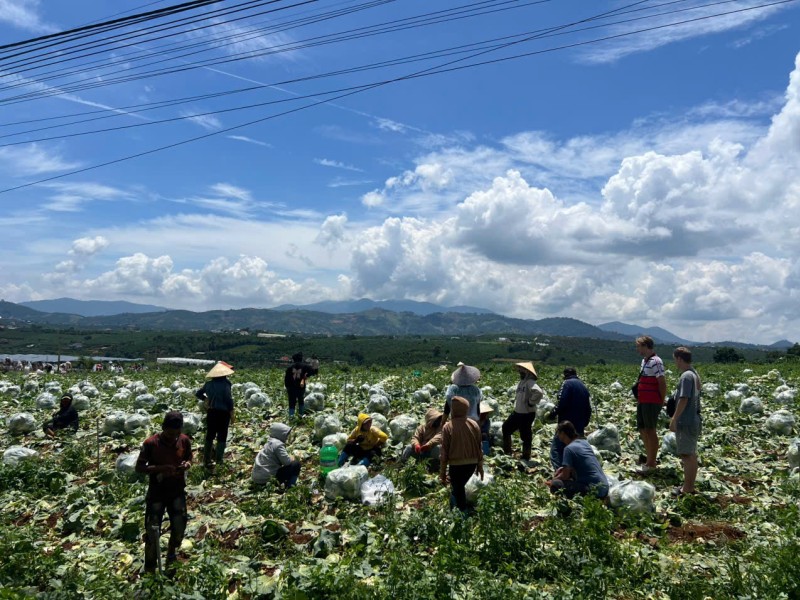One Day With a Da Lat Easyrider: A Journey Beyond the Guidebooks