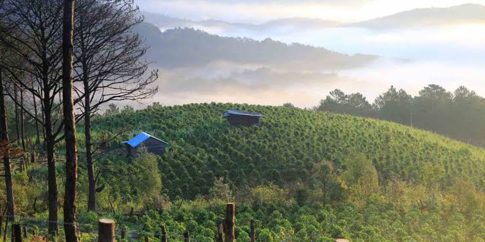 Why Authentic Travel Is Replacing Luxury Tourism in 2026