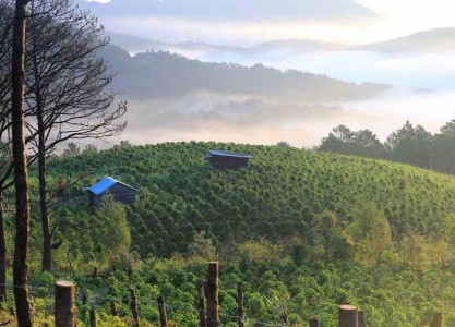 Why Authentic Travel Is Replacing Luxury Tourism in 2026