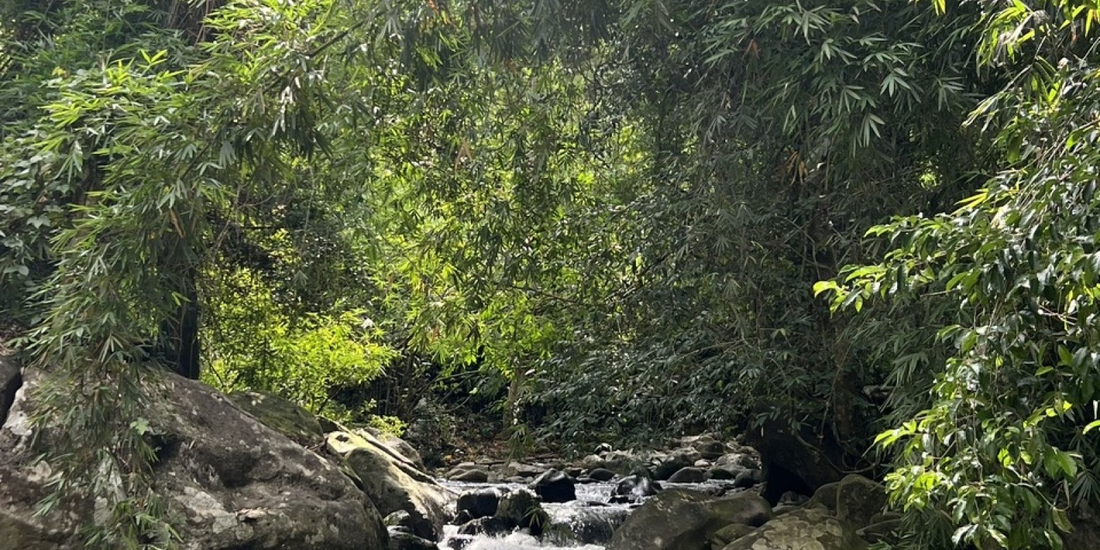 Why Solo Travelers Love Da Lat Easyrider Tours