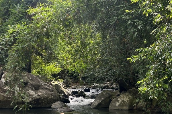 Why Solo Travelers Love Da Lat Easyrider Tours