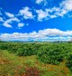 Sustainable Travel in Vietnam: Explore Da Lat the Responsible Way