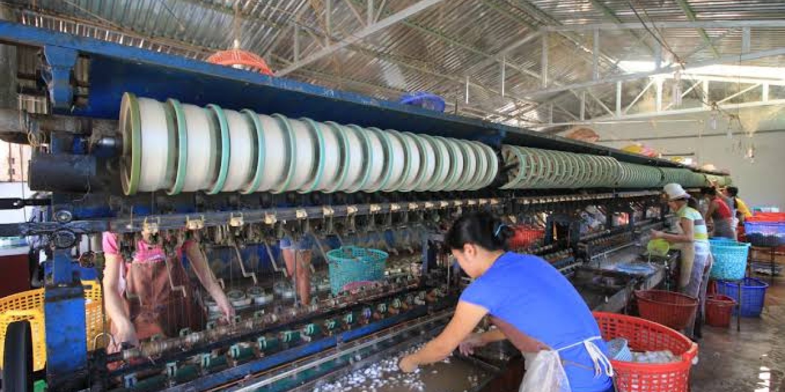 From Silk Factories to Cricket Farms: The Most Unique Experiences in Da Lat