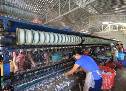 From Silk Factories to Cricket Farms: The Most Unique Experiences in Da Lat