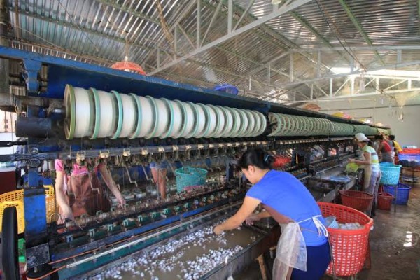 From Silk Factories to Cricket Farms: The Most Unique Experiences in Da Lat