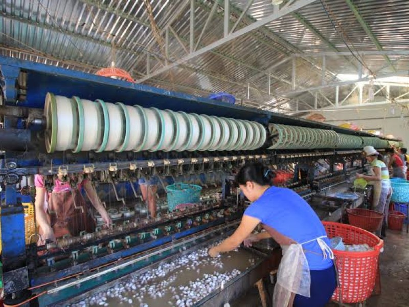 From Silk Factories to Cricket Farms: The Most Unique Experiences in Da Lat