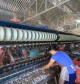 From Silk Factories to Cricket Farms: The Most Unique Experiences in Da Lat