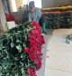 The Real Life of Da Lat farmers