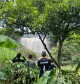 Top National Parks to Explore in Vietnam
