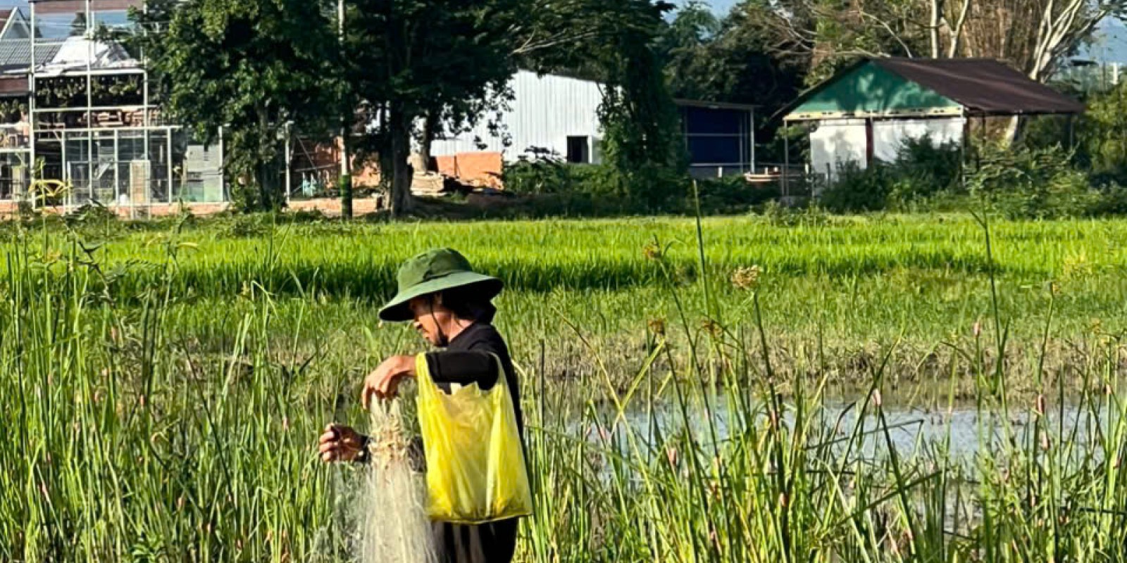 From Da Lat to Ha Giang: Two Mountain Worlds, One Incredible Vietnam Adventure
