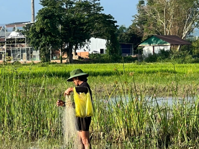 From Da Lat to Ha Giang: Two Mountain Worlds, One Incredible Vietnam Adventure
