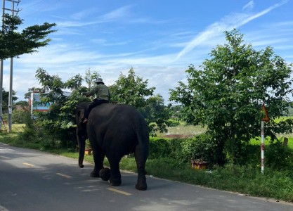 Ride from Da Lat to Hoi An: Discover the Vietnam Most Travelers Never See