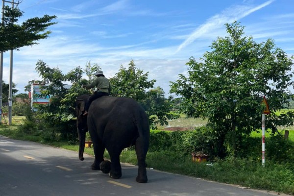Ride from Da Lat to Hoi An: Discover the Vietnam Most Travelers Never See