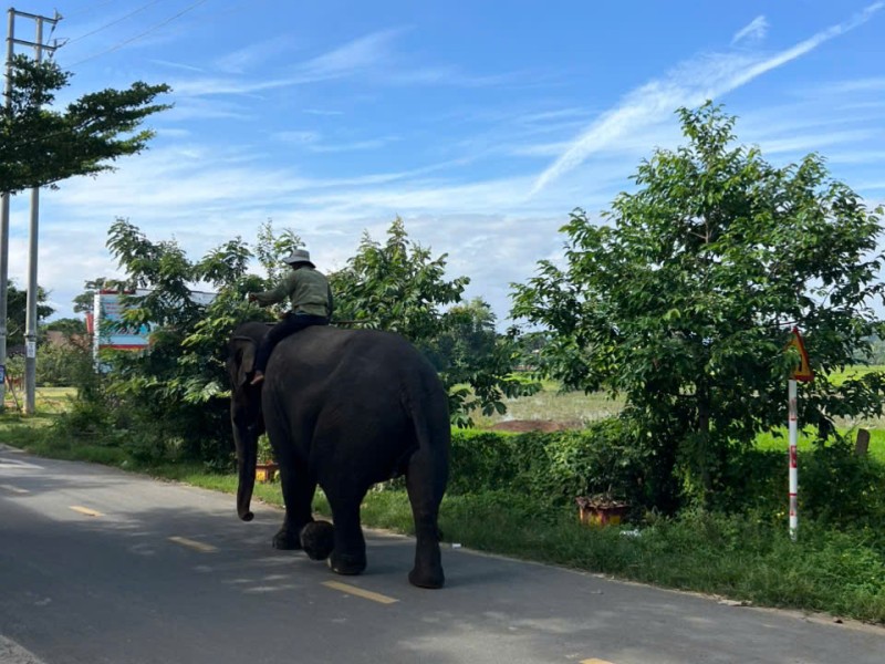 Ride from Da Lat to Hoi An: Discover the Vietnam Most Travelers Never See