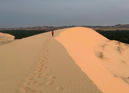 Travel Vietnam Like a Local: The Dalat Easyrider Experience Since 1992