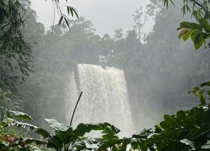 Vietnam's Hidden Waterfalls: Nature Beyond the Tourist Trail