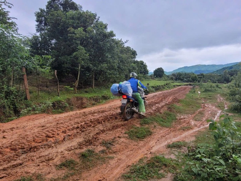 From Ha Giang to the Mekong Delta: 10 Experiences in Vietnam