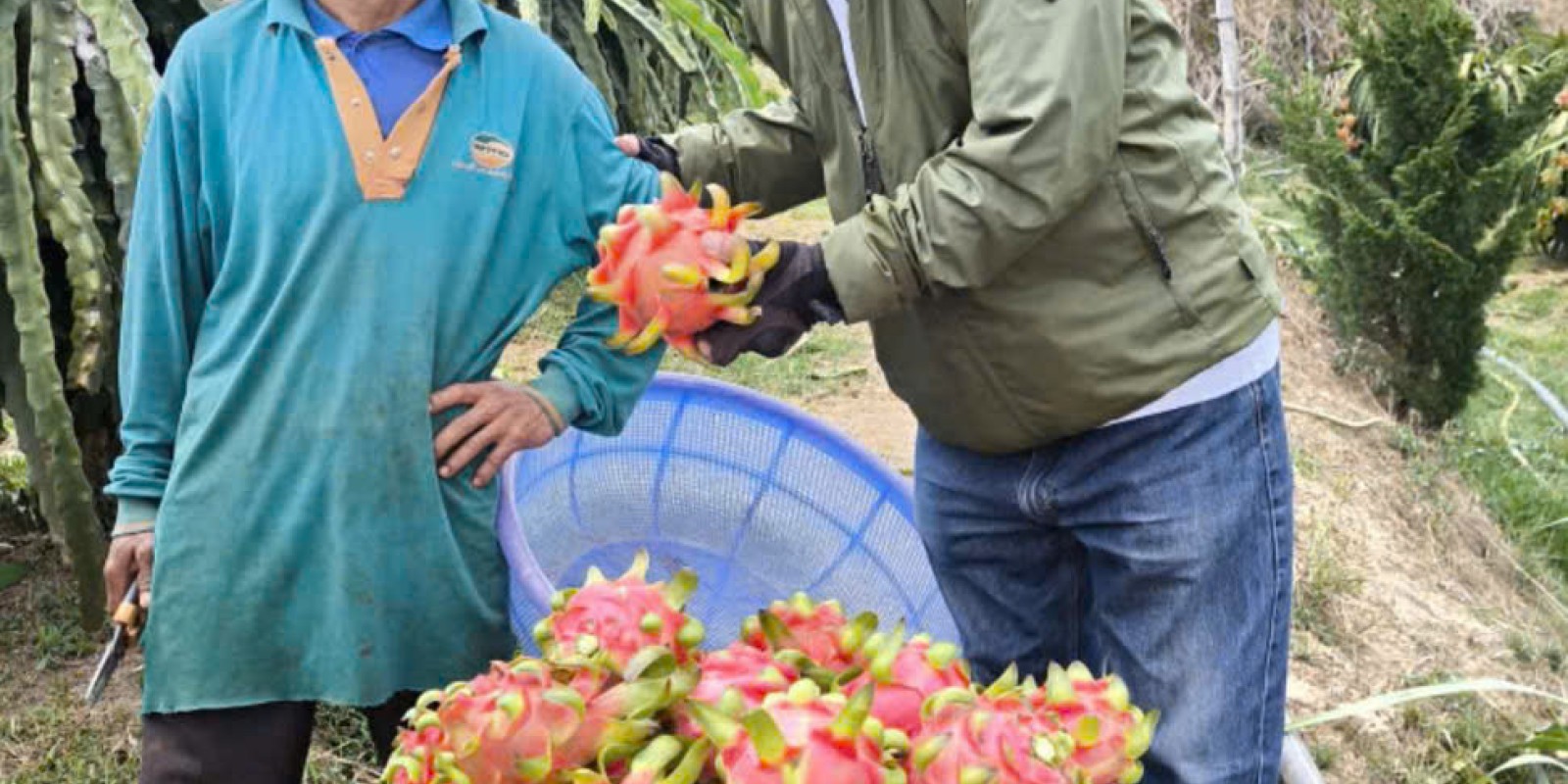 The Real Vietnam: Local Villages, Food, Culture and People