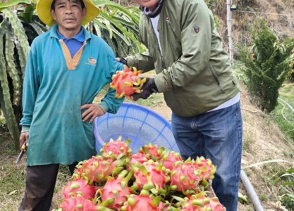 The Real Vietnam: Local Villages, Food, Culture and People