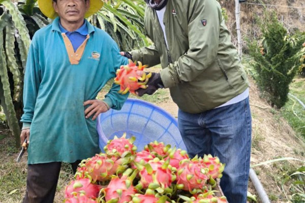 The Real Vietnam: Local Villages, Food, Culture and People
