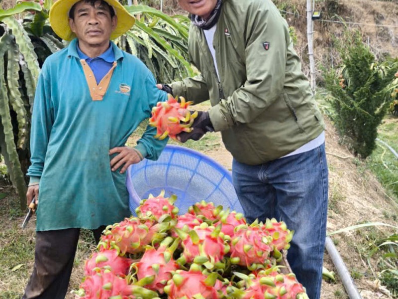 The Real Vietnam: Local Villages, Food, Culture and People