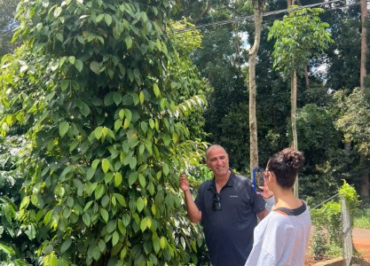 What International Travelers Should Know Before Joining a Vietnam Easyrider Tour