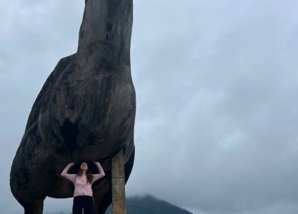 Vietnam from North to South: One Country, Countless Experiences